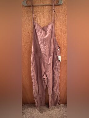 American Eagle Outfitters Stretch Stovepipe Overall